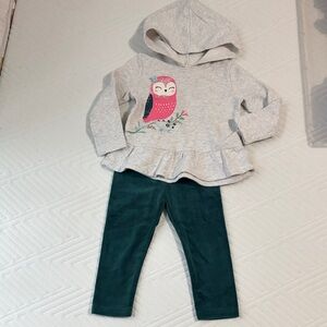 🛍️BOGO🛍️Fleece Hoodie and Velvet Leggings Outfit